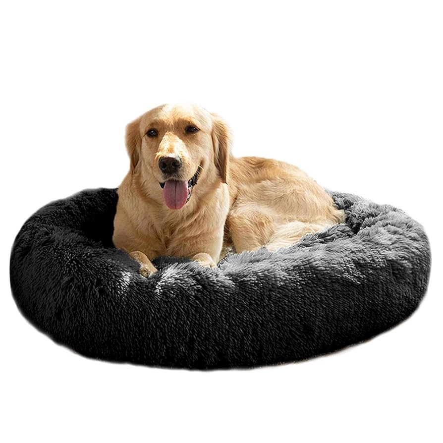 Amazon.com : MFOX Calming Dog Bed (S/M/L/XL) for Medium and